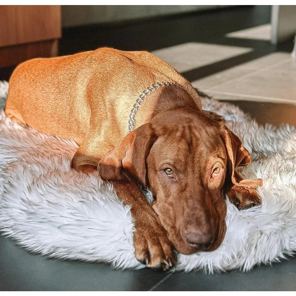 CozyCloud Orthopedic Memory Foam Dog Bed