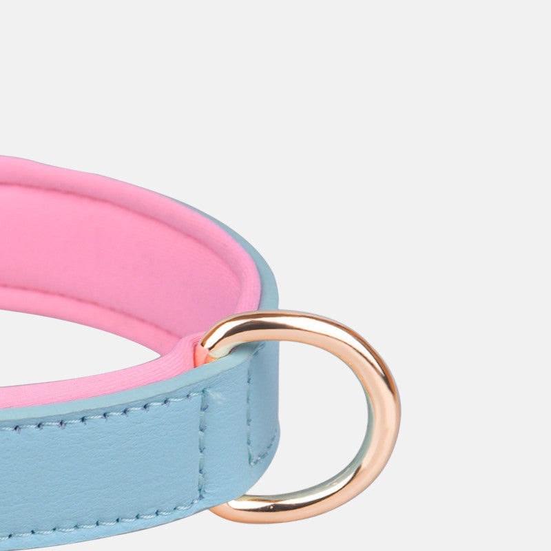 Custom Luxury Breathable Pet Dog Collar | High-Quality Training Walking Products